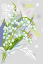 Series of greeting backgrounds with summer and spring flowers.